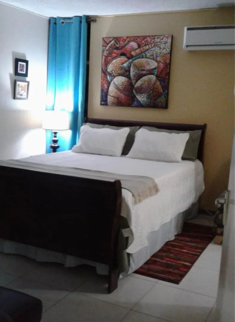 Apartment The Artist Place At Oxford New Kingston Jamaica